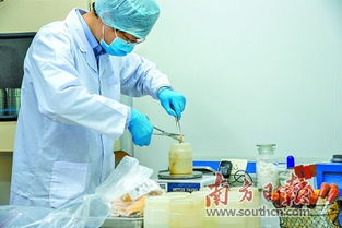 強監管優服務 守好粵東進出口食品安全大門