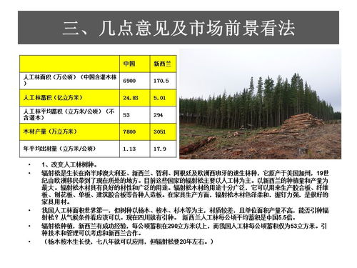 中美貿易戰對雙方木材產業的影響